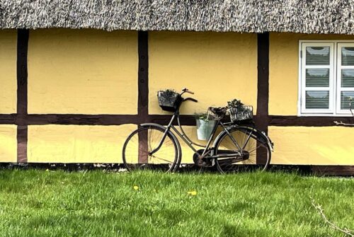 Albjerg_cykel